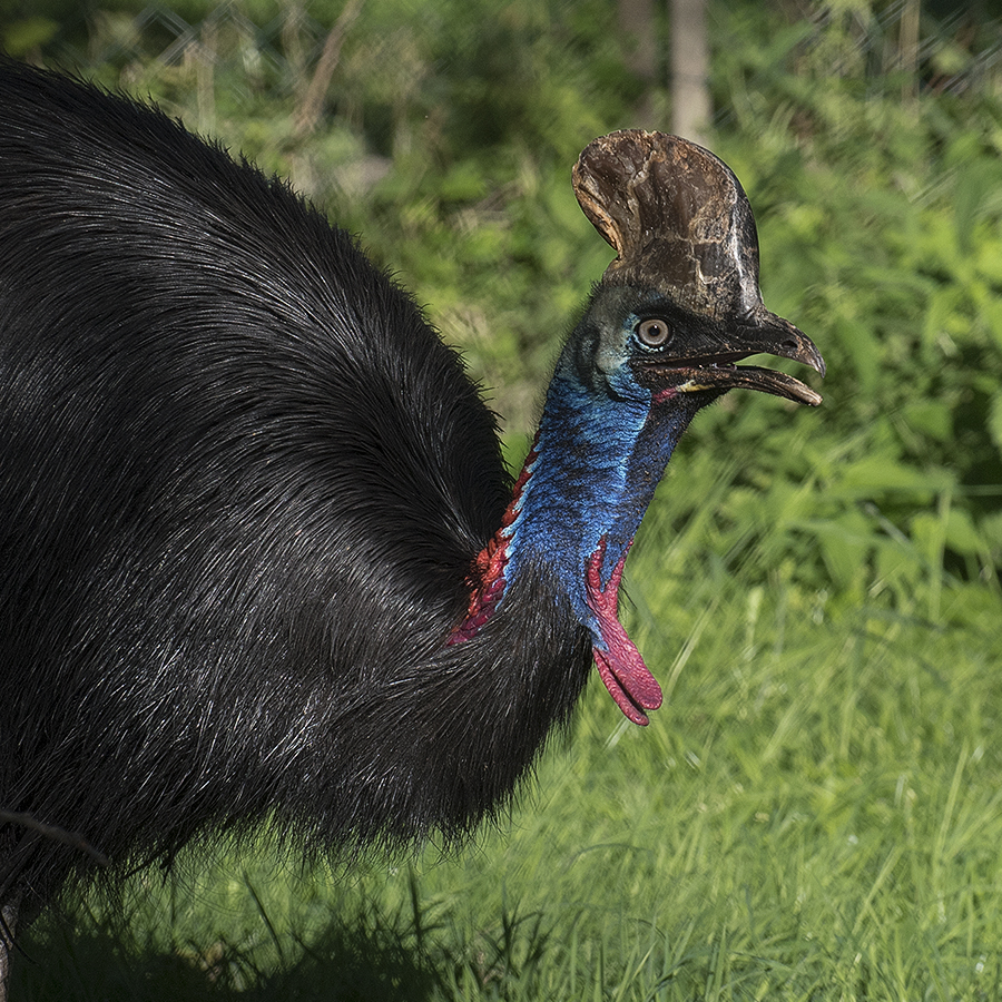 Schleswig Holstein Ostsee 09_2015 KA7_4427 als Smartobjekt-1 Kopie.jpg